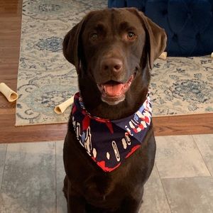 Meet your Posher, Michael